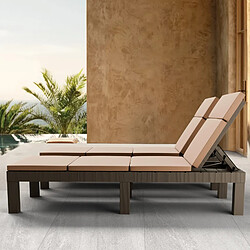 Sinlikon Lot de 2 Transat, bain de soleil et chaise longue - Dossier réglable - Marron