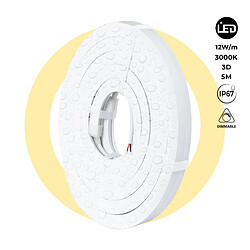 Barcelona LED Barcelona-led néon LED flexible 3D ruban