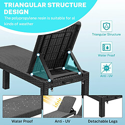 Sinlikon Lot de 2 Bain de soleil - Chaise longue - Transat de soleil Résine imitation rotin tressé - Dossier réglable - Noir