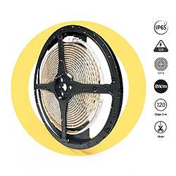 Barcelona LED Barcelona-led Ruban LED 220V monocouleur IP65