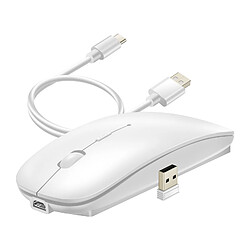 wiwu Souris sans fil Bluetooth et Dongle USB 2.4G Compacte Rechargeable Blanc