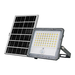 Barcelona LED Projecteur solaire de sécurité 5W - Capteur PIR et télécommande