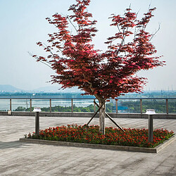 Fumagalli Bornes solaire LED "FELICE 800" avec capteur PIR - 73 cm - 4000K