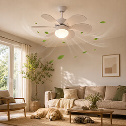Ventilateur