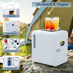 Acheter NETTLIFE Mini réfrigérateur 4L Petit réfrigérateur 12V 230V idéal pour la voiture la chambre le camping le bureau et les voyages (blanc)