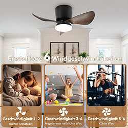 Ventilateur de plafond LED NETTLIFE avec éclairage et télécommande silencieux 23 W 70 cm Noir Été/Hiver Minuterie 6 vitesses