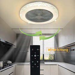 Avis NETTLIFE Ventilateur de plafond avec éclairage LED et télécommande - Silencieux, 48.5CM, gradable, fonction timer, design cristal pour salon/chambre