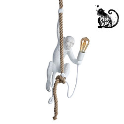 Barcelona LED Suspension design singe en résine "Ximpa"