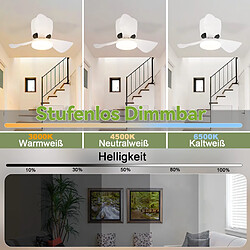 Ventilateur de plafond NETTLIFE avec éclairage, variateur, silencieux, 70 cm, LED, 23 W, blanc, été/hiver, minuterie 6 vitesses