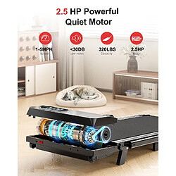 Avis RATTANTREE Tapis Roulant électrique Pliant Noir