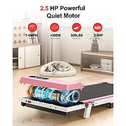 Avis RATTANTREE Tapis Roulant électrique Pliant Rose