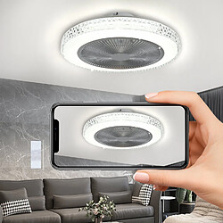 Acheter NETTLIFE Ventilateur de plafond avec éclairage LED et télécommande - Silencieux, 48.5CM, gradable, fonction timer, design cristal pour salon/chambre