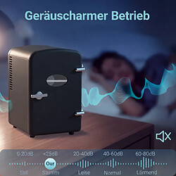 Acheter NETTLIFE Mini réfrigérateur 4L Petit réfrigérateur 12V 230V idéal pour la voiture la chambre le camping le bureau et les voyages (noir)