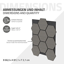 Acheter ML-Design Panneaux acoustiques Hexagon, 66,5x81,1x2,1 cm, Gris