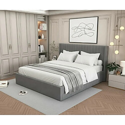 Homy France LIT COFFRE CAMILLE en velours GRIS 180X200CM