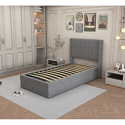 Homy France LIT COFFRE CAMILLE en velours GRIS 90X190CM