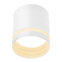 NETTLIFE Spot en saillie LED Spot de plafond rond blanc 5W spot en saillie petit acrylique
