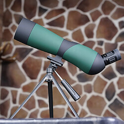 LEVENHUK - BLAZE 60 BASE - Lunette d'observation Terrestre 20-60 avec sac et trépied