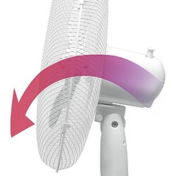 Briebe Ventilateur sur Pied Silencieux, Télécommande, Minuterie jusqu'à 7,5 Heures BRI-FN122397W B
