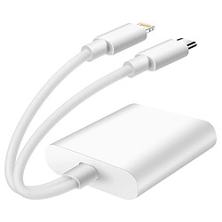 Linq Hub USB C - USB-C et Lightning
