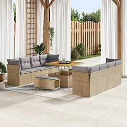 vidaXL Ensemble de canapé de jardin 11 pcs beige et gris clair 
