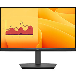 Dell 22" LCD