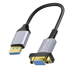 LinQ Câble Adaptateur DisplayPort vers VGA Full HD 1080p Noir