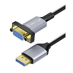 LinQ Câble Adaptateur DisplayPort vers VGA Full HD 1080p Noir