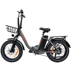 BowAI Vélo Électrique Pliable 20", Moteur 48V/750W, Batterie Amovible 48V13Ah, 7 Vitesses SHIMANO, Freins à Disque, 40-50 km, Gris