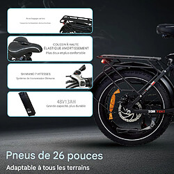 Acheter BowAI Vélo Électrique Pliable 20", Moteur 48V/750W, Batterie Amovible 48V13Ah, 7 Vitesses SHIMANO, Freins à Disque, 40-50 km, Gris