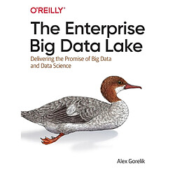 The Enterprise Big Data Lake