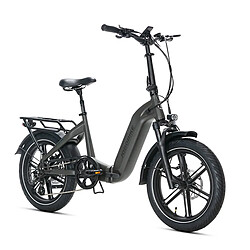 JOBOBIKE Romer Pro