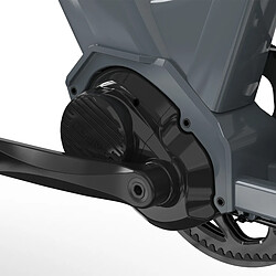 Acheter JOBOBIKE LUXE