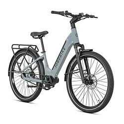 JOBOBIKE LUXE