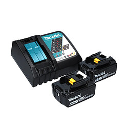 Acheter Makita DBS 180 RGJ lime à bande sans fil 18 V 9 x 533 mm Brushless + 2x batterie 6,0 Ah + chargeur + Makpac