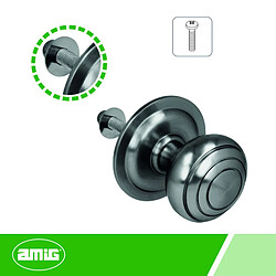 Amig Bouton de porte d'entrée - Chromé mat pas cher