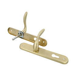 Amig Poignée de porte sur plaque - Laiton mat