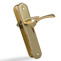 Amig Poignée de porte sur plaque - Laiton