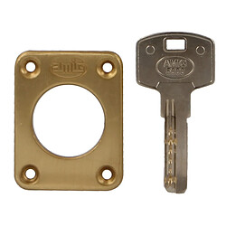 Acheter Amig Serrure batteuse en applique - Émaillé or
