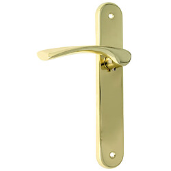 Amig Poignée de porte sur plaque - Laiton