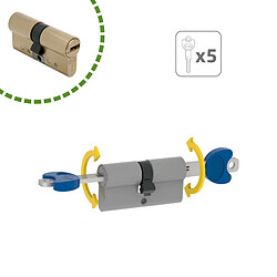Acheter Amig Cylindre de serrure - Laiton mat