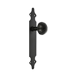 AMIG | Bouton de porte avec plaque 18 | 280 x 45 x 2 mm | Plaque d'acier, Poignée zamak | Noir