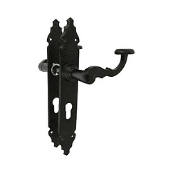 AMIG | Poignées sur plaque à cylindre 100PB | 280 x 44 mm | Plaque d'acier, Poignée zamak | Noir