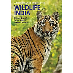 A Photographic Guide to the Wildlife of India