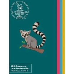 SEND Programme Large Grapheme Mats