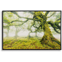 Mauro Ferretti Toile décorative avec cadre Forest 90 x 4 x 60 cm.