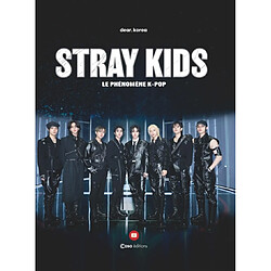 Stray Kids : le phénomène k-pop