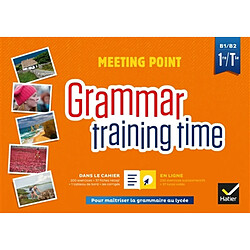 Meeting point, grammar training time, 1re, terminale, B1-B2