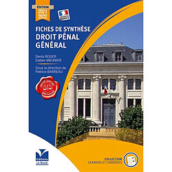 Fiches de synthèse droit pénal général - Occasion