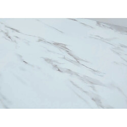 Homy france Table à manger plateau verre marbré - Blanc pas cher